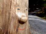 Baumgesicht an einem alten abgestorbenen Baum, wacht ber die Wege im Nationalparkzentrum Lusen im Bayerischen Wald;120327