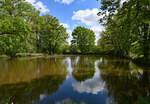Teich mit Bäumen an der Burg Ringsheim bei Euskirchen - 21.05.2021