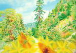  Ackerbergfalter , Gemälde: Öl auf Baumwolle, 2008, 85 x 120 cm; nach Aufnahme auf dem Reitstieg-Wanderweg auf dem Ackerkamm gemalt: Zwei Perlmutterfalter auf Blütchen des Harzgreiskrauts...