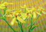  Lichtblume 1 (Harzgreiskraut) , Gemälde: Öl, Goldpastell auf Holz, 2015, 70 x 100 cm; Blütchen des Harzgreiskrauts, gemalt nach einem Foto, das ich in der Nähe von Braunlage aufgenommen habe...