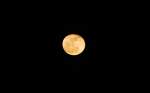 Orangefarbener Mond am 9. Mrz 2012 um 20:30 in Mittelfranken in der 1. Nacht nach dem Vollmond am 8.3.12