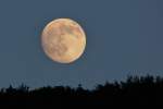 . Selten so eindrucksvoll zu beobachten, der Aufgang des fast vollen Mondes am 11.06.2014. (Jeanny)