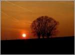 Am 23.03.2012 taucht die untergehende Sonne die Landschaft in ein goldenes Licht. (Jeanny)