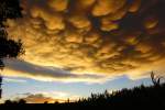 Abendhimmel am  Weinberg  bei Bischwind a.R., Stadt Ebern, Kr. Haßberge mit äußerst seltenen Mammatuswolken, aufgenommen am 14.9.2015