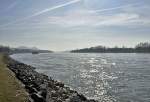 Gegenlicht mit Sonnenspiegelung ber dem Rhein bei Bonn-Oberkassel - 06.03.2013