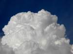 Am Nachmittag des 26.07.08 schossen zahlreiche Cumulus-Wolken ber dem Schwarzwald in die Hhe und entwickelten sich zu lokal heftigen Unwettern
