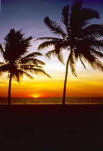 Sonnenuntergang in Goa. Bild vom Dia. Aufnahme: Oktober 1988.
