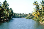 Die Backwaters sind ein verzweigtes Wasserstraßennetz im Hinterland der Malabarküste im südindischen Bundesstaat Kerala. Bild vom Dia. Aufnahme: Dezember 1988.