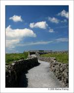 The Burren - Der Weg zum Ringfort, Irland Co. Clare.