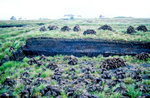 Torfboden im Connemara-Distrikt. Bild vom Dia. Aufnahme: Juli 1991.