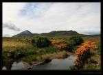 Croagh Patrick - Cruach Phdraig bei Murrisk in der Nhe von Westport, Irland County Mayo