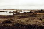 Myvatn-See (dt. Mckensee) im nordosten Islands im Juni 1997, der See gefriert im Winter nicht zu und ist recht fischreich, aber auch bekannt fr seinen Mckenreichtum im Sommer.