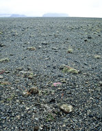 Typische isländische Vulkanlandschaft in der Nähe von Grindavik. Bold vom Dia. Aufnahme: August 1995.