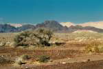 Die Negev-Wüste nördlich von israelischen Eilat. Aufnahme: November 1987 (digitalisiertes Negativfoto).
