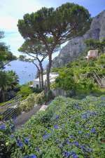Capri - Aufnahmedatum: 21. Juli 2011.