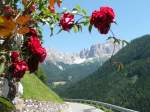 Italien - Südtirol -  Rosengarten , so heißt die Bergkette im Hintergrund. Und das zufällig gefundene Motiv setzt diesen Namen sehr zutreffend auch in den Titel dieses lieblichen Bildchens um .....
Aufgenommen im Juni 2011.