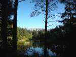 Blick auf einen Moorsee am Ritten.Dahinter ist ein Teil der Dolomiten zu sehen.Interessant ist auch die Frbung einzelner Lrchenbume im Hintergrund.Die Aufnahme wurde am 30.10.2011 vom Ufer aus gemacht.