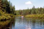 Wald- und Seenlandschaft in Algonquin Provincial Park in Ontario. Aufnahme: Juni 1987 (digitalisiertes Negativfoto).