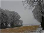 Rauhreif und ein bisschen Schnee in der Nhe von Antoniushof. 16.01.10 (Jeanny)