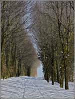 Verschneiter Waldweg in der Nhe von Hautbellain.