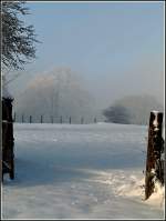 Rauhreif und Nebel beherrschten die Landschaft in der Nhe von Berl am 31.12.2010. (Jeanny)