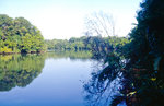 Sungai Teku im Taman Negara Nationalpark in Malaysia. Bild vom Dia. Aufnahme: März 1989.
