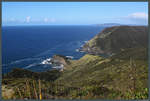Östlich von Cape Reinga zieht sich in weiten Abschnitten eine Steilküste entlang.
