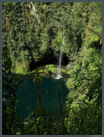 Kaiate Falls bei Tauranga.