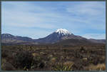 Das Tongariro-Massiv ist eine Ansammlung von aktiven Vulkanen, die bereits seit 1894 Teil eines Nationalparks sind. Links der 2291 m hohe Mount Ngauruhoe, der als  Schicksalsberg  aus Herr der Ringe Bekanntheit erlangt. (18.10.2016)