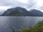 Berg Hotleonen (1576 M.) am Hardangerfjord (26.05.2023)