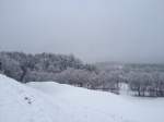 Blick auf den verschneiten Abhang am Matzen Park bei Brixlegg und die vereisten Bume.(17.12.2011)