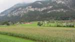 Blick ber ein Maisfeld im Tiroler Unterinntal auf die weite Landschaft am 30.9.2012.