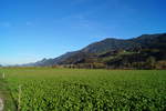 Herbststimmung im Tiroler Unterinntal: Blick von Stans bei Schwaz in Richtung Südosten (Gallzein). Im Vordergrund wird ein Feld zum Gemüseanbau genützt, im Hintergrund erkennt man die neue Trasse der Unterinntalbahn. 26.10.2018.
