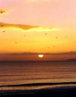 PORTIMÃO, 10.11.1998, Sonnenuntergang in Praia da Rocha -- Foto eingescannt  