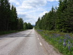 Riksväg 68 bei Grangärde, Mittelschweden (16.06.2016)