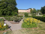 Im Botanischen Garten der Stadt Uppsala (02.06.2018)