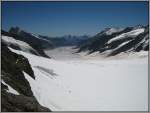 Blick vom Jungfraujoch auf den Aletschgletscher, dem lngsten Eisstrom der Alpen. (24.07.2008)