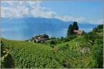 Blick ber den Ort Epesses, die Weinberge ber den See und auf die Savoyer Alpen.
(15.06.2011)