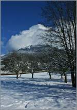 Blick durch verschneite Obstbume auf den Les Pliades(1348m..M.)  (16.01.2013)