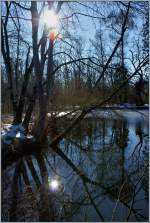 Im Naturschutzgebiet Les Grangettes spiegelt sich  die Februarsonne im See.