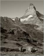 Das Matterhorn (mit Gemecker) 
4. Okt. 2011