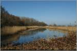 Auch dieser kleine  Teich  ist ein Stck des Lac Lman, welcher frher die ganze heutige Flche der Grangettes bedeckte. Die Grangettess sind heute ein Naturschutzgebiet.
14.03.2012