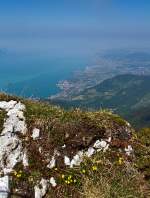 Blick hoch vom Gipfel des Rochers-de-Naye (2.042 m . M.) ber den Genfersee (Lac Lman) am 26.05.2012.