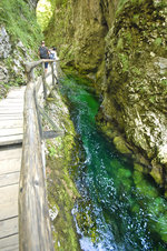 Die Vintgar-Klamm (slowenisch: Blejski Vintgar) ist eine Klamm ca. 4 km nordwestlich von Bled in Slowenien. Der smaragdgrüne Wildfluss Radovna entspringt in ca. 1000 m Höhe in den Julischen Alpen nordöstlich des Triglav. Aufnahme: 3. August 2016.