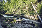 Die Vintgar-Klamm in Slowenien wurde vom Radovna-Fluss bis zu 300 Meter tief zwischen den senkrechten Wänden der Berge Hom und Boršt ausgewaschen, ist ca. 1600 m lang und endet am 13 m hohen Wasserfall Šum. Aufnahme: 2. August 2016.