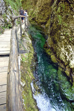Ein Wanderweg führt ca. 30 Minuten über Brücken, Holzstege und Galerien durch die hoch aufragende Vintgar Klamm in Slowenien. Aufnahme: 3. August 2016.