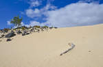 Im westlichen Dünenlandschaft von Parque Natural de Corralejo auf der Insel Fuerteventura ist es besonders ruhig und die Dünen sind noch beeindruckender als in Strandnähe.