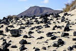 Vulkansteine in den Wanderdünen südlich von Corralejo auf der Insel Fuerteventura in Spanien.