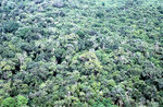 Sri Lanka - Dschungel vom Sigiriya-Monolith aus gesehen. Bild vom Dia. Aufnahme: Januar 1989.