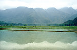 Reisfelder und Berge bei Mai Chau westlich von Hanoi. Bild vom Dia. Aufnahme: Januar 2001.